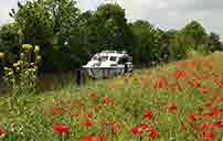 Poppy Field at Culham